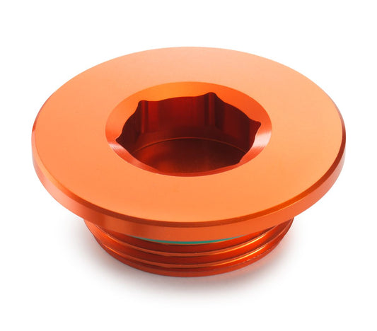 Ignition cover plug
