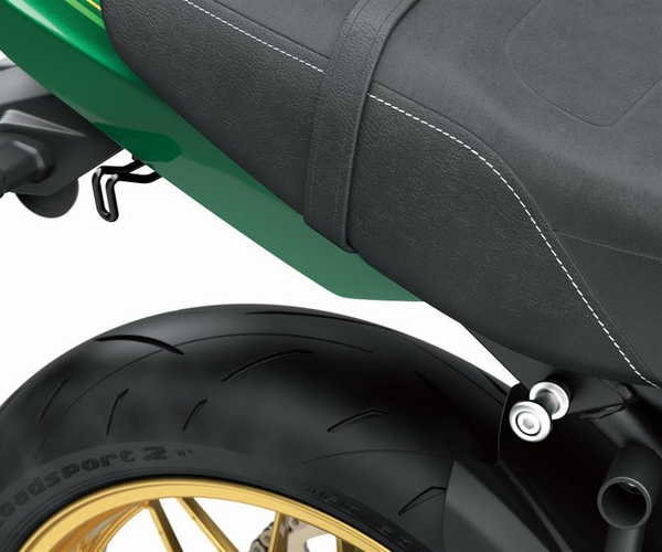 Luggage Attachment Hooks (Z650RS)