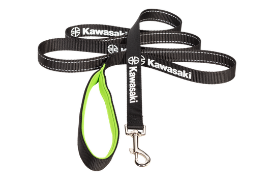 Dog leash