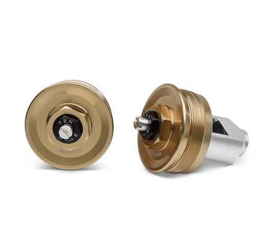 Front Fork Cap Set, Gold (Z900RS/SE)