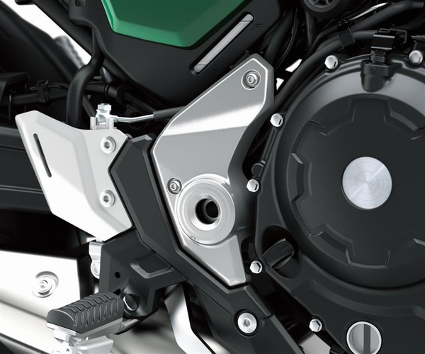 Swing Arm Bolt Covers (Z650RS)