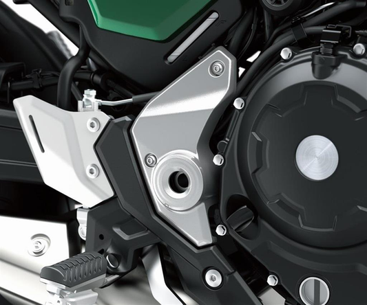 Swing Arm Bolt Covers (Z650RS)