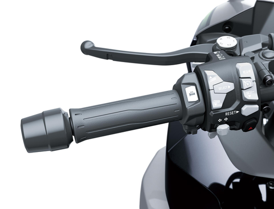 Grip heating (Ninja 1100SX)