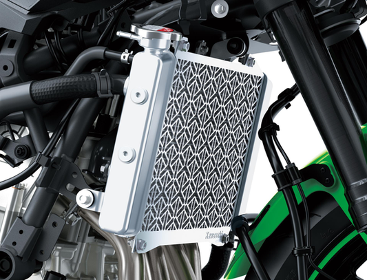 Radiator protection (Ninja ZX-4R)